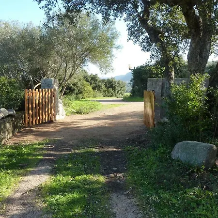 La Vignola Фигари